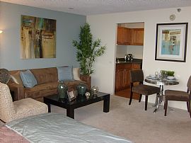 Exceptional Studio Apartment - This Place Has Everything in Chicago, IL