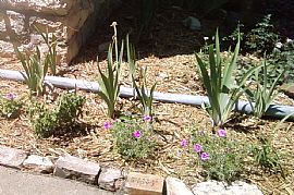 Terrific 2 Bedroom Duplex Apartment with Basement and Garage! in Salina, KS (Photo 2 of 8)