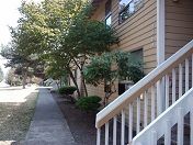 2 Bedroom Apartment Near Mcchord Afb in Parkland, WA (Photo 6 of 12)