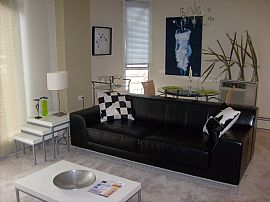 Cozy 1 Bedroom Apartment with Fantastic Deal in The Gold Coast! in Chicago, IL