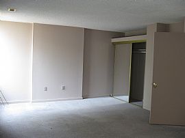 Spacious, 2 Bedroom, 3 Story Townhome - Pet Friendly  in Baltimore, MD (Photo 3 of 10)