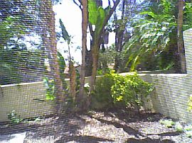 Cozy 3 Bedroom Townhouse with Designer Quality - Quiet End Unit in Laguna Niguel, CA (Photo 5 of 8)