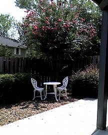 Town Condo-Open Layout-Very Private-Great Location-No Hoa Fee  in Dunwoody, GA (Photo 1 of 5)