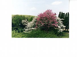Enchanting 4 Bedroom Country Home on Mark Twain Land in West Redding, CT (Photo 4 of 7)
