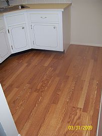 Condo E of Federal, 1br, Pool, Quiet Neighborhood in Fort Lauderdale, FL (Photo 7 of 7)