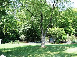 Upper Level 3 Bedroom Home with Large Backyard -  Near DC in Hyattsville, MD (Photo 8 of 8)