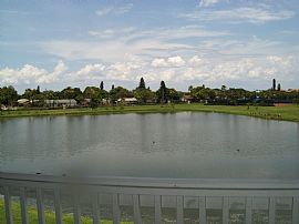 Waterfront 1 Bedroom Condo with 800 Sq. Ft. - 1/2 Month Free in Saint Petersburg, FL