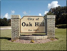 Gorgeous 3 Bedroom Canal Front Home with Dock in Oak Hill, FL (Photo 7 of 8)