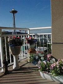 Comfy 2 Bedroom Condo with Spectacular Panoramic Views  in Seattle, WA (Photo 11 of 12)