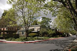 Adorable 3 Bedroom Condo in Quiet Tree Lined Community in Emeryville, CA