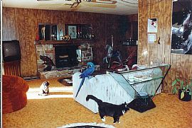 Delightful 2 Bedroom Home with 1651 Sq. Ft. on Quiet Cul-De-Sac in Prescott, AZ (Photo 2 of 5)