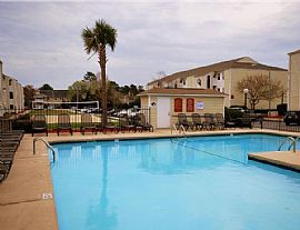 Private 1 Bedroom Apartment with First Month Free - Near UNCW in University of NC, NC (Photo 5 of 5)