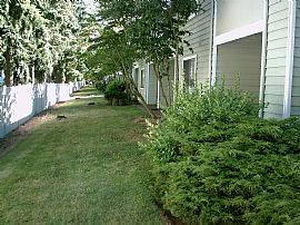 Comfortable 1 Bedroom Ground Floor Condo with Covered Patio in Everett, WA (Photo 5 of 11)