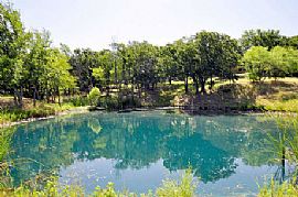 Southlake Schools! 6 Bedroom on Corp. Property! in Grapevine, TX (Photo 3 of 11)