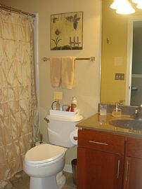 Maple Grove Townhome For Rent in Highly Demanded Arbor Lakes  in Maple Grove, MN (Photo 10 of 12)