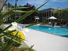 Terrific 1 Bedroom Apartment at Cambridge House  in Davis, CA (Photo 3 of 8)