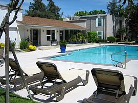 Terrific 1 Bedroom Apartment at Cambridge House  in Davis, CA (Photo 4 of 8)