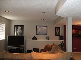 Stunning 4 Bedroom Home with Vaulted Ceilings! in Cottage Grove, MN (Photo 5 of 7)