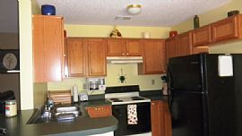 Nice 3 Bedroom Home with Pergo Floors - Move in Ready in Cordova, TN (Photo 3 of 10)