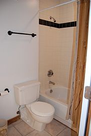 732 S Financial Pl #613 Spacious Nyc Style 1 Bedroom Loft Condo in Chicago, IL (Photo 11 of 12)