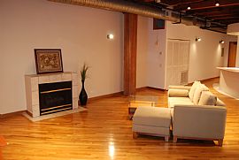 732 S Financial Pl #613 Spacious Nyc Style 1 Bedroom Loft Condo in Chicago, IL (Photo 6 of 12)