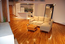 732 S Financial Pl #613 Spacious Nyc Style 1 Bedroom Loft Condo in Chicago, IL (Photo 7 of 12)
