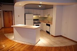 732 S Financial Pl #613 Spacious Nyc Style 1 Bedroom Loft Condo in Chicago, IL (Photo 8 of 12)