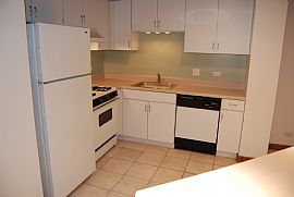 732 S Financial Pl #613 Spacious Nyc Style 1 Bedroom Loft Condo in Chicago, IL (Photo 9 of 12)