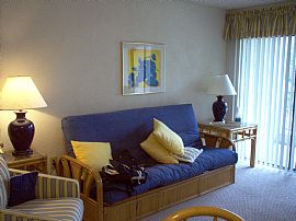 Partially Furnished 1 Bedroom Condo in Excellent Location  in Myrtle Beach, SC (Photo 7 of 9)