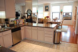 600 S Dearborn 808-810 Magnificent 2 Bedroom Condo in Chicago, IL (Photo 7 of 12)