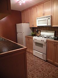 Beautiful 2 Bedroom Condo - Updated Throughout with 1 Car Garage in Prospect Heights, IL (Photo 3 of 5)