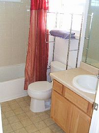 Beautiful 3 Bedroom Home with Fireplace and Huge Yard  in Aurora, CO (Photo 10 of 12)