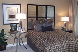 Gorgeous 1 Bedroom Apartment with Rooftop Pool! in Arlington, VA (Photo 4 of 9)