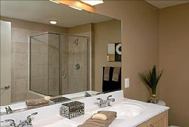 Gorgeous 1 Bedroom Apartment with Rooftop Pool! in Arlington, VA (Photo 7 of 9)