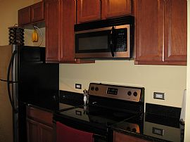 Updated Printer'S Row 1 Bed/1 Bath in Chicago, IL (Photo 3 of 10)