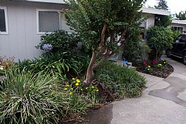 Gorgeous 2 Bedroom Ground Floor Condo with Huge Kitchen in Redwood City, CA