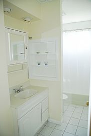 Contemporary 3 Bedroom Home - Newly Remodeled in Lake in the Hills, IL (Photo 8 of 12)