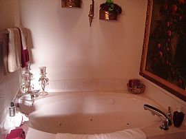 Like New, Spacious 4 Bedroom Home with Lease to Buy Option in Santa Rosa Beach, FL (Photo 3 of 7)