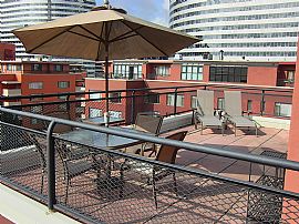 Furnished Room for Rent in “River Place” Penthouse in Rosslyn, VA (Photo 5 of 6)