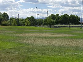 Beautiful 3 Bedroom Home with 1755 Sq. Ft. Backs to 50 Acre Park in Longmont, CO (Photo 8 of 8)