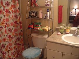 Terrific 1 Bedroom Apartment - Perfect for College Living! in Lubbock, TX (Photo 2 of 4)