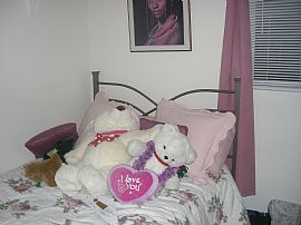 Darling 2 Bedroom Home with Loft and Two Car Garage in Aurora, IL (Photo 5 of 8)