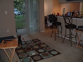 Condo 4 Rent - Avail Nov. 1st!  Must See! in Reston, VA (Photo 8 of 12)