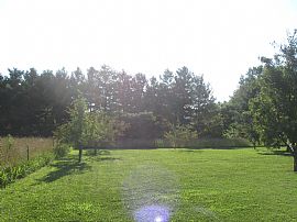 3br 2bath Rental Home with 2.5 Acres. a Must See!!! in Cookeville, TN (Photo 11 of 12)