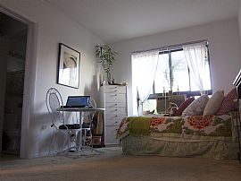 Beautiful Studio - No Deposit - Available Oct. 1 - $585 in Chicago, IL