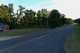 Beautiful 3 Bedroom Brick Home with Peace and Privacy in Cusseta, GA (Photo 10 of 12)