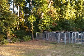 Beautiful 3 Bedroom Brick Home with Peace and Privacy in Cusseta, GA (Photo 4 of 12)