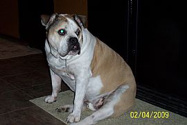 Marvelous Room in Country Home on 5 Acres with Large Pool in Rhome, TX (Photo 5 of 5)