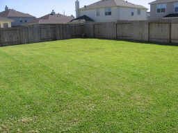 House For Rent in The Best Area of Katy in Katy, TX (Photo 8 of 12)