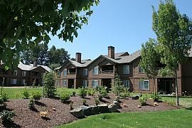 1 Bedroom 1 Bath with Garage Available Now! in Eugene, OR (Photo 2 of 12)